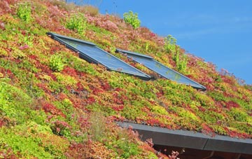 Potsgrove living roof systems