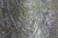 Potsgrove fibreglass roof work